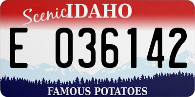 ID license plate E036142