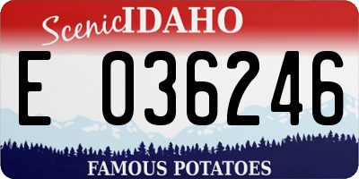ID license plate E036246