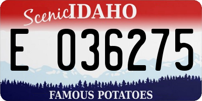 ID license plate E036275
