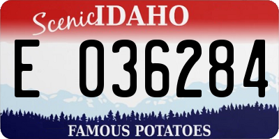 ID license plate E036284