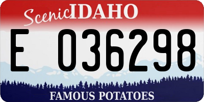 ID license plate E036298