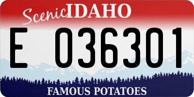 ID license plate E036301