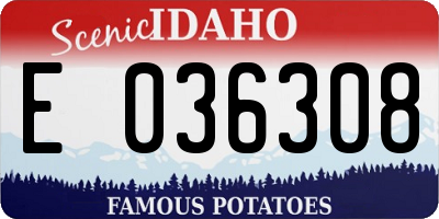 ID license plate E036308