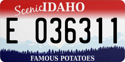 ID license plate E036311