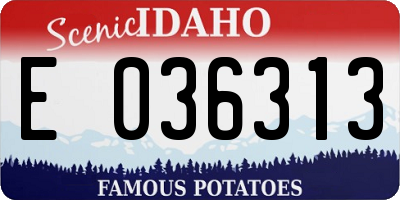 ID license plate E036313