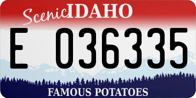 ID license plate E036335
