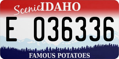 ID license plate E036336