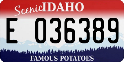 ID license plate E036389