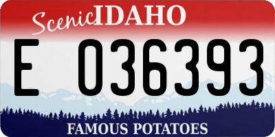 ID license plate E036393