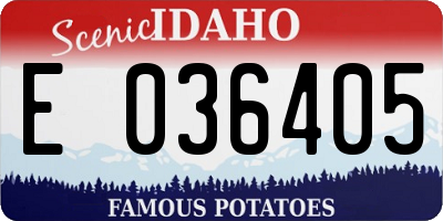 ID license plate E036405