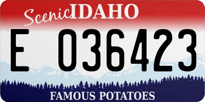 ID license plate E036423