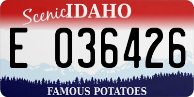 ID license plate E036426