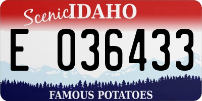 ID license plate E036433
