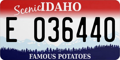 ID license plate E036440