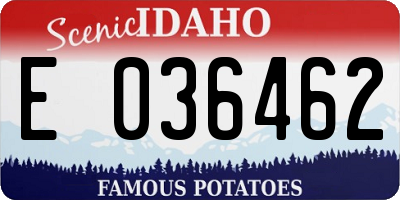 ID license plate E036462