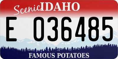 ID license plate E036485