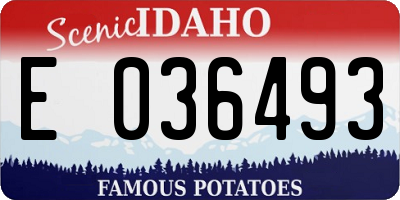 ID license plate E036493
