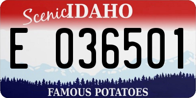 ID license plate E036501