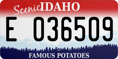 ID license plate E036509