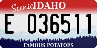ID license plate E036511