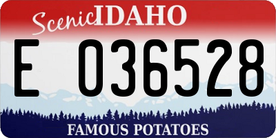 ID license plate E036528
