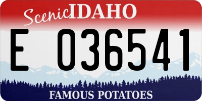 ID license plate E036541