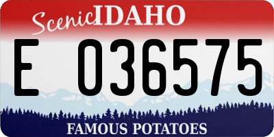 ID license plate E036575