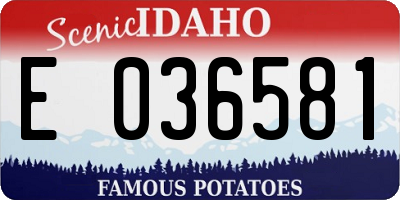 ID license plate E036581
