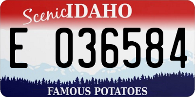ID license plate E036584
