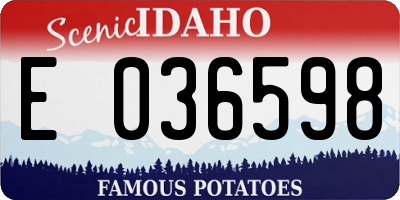 ID license plate E036598