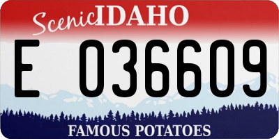ID license plate E036609