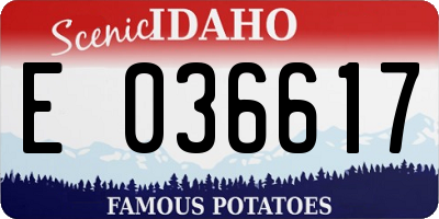 ID license plate E036617