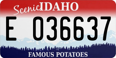 ID license plate E036637