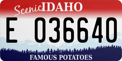 ID license plate E036640
