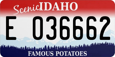 ID license plate E036662