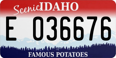 ID license plate E036676