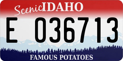 ID license plate E036713