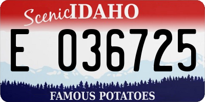 ID license plate E036725
