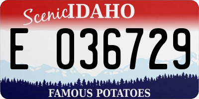 ID license plate E036729