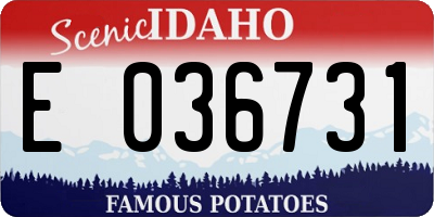 ID license plate E036731
