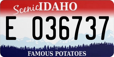 ID license plate E036737