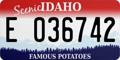 ID license plate E036742