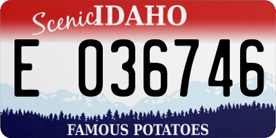 ID license plate E036746