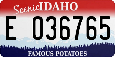 ID license plate E036765