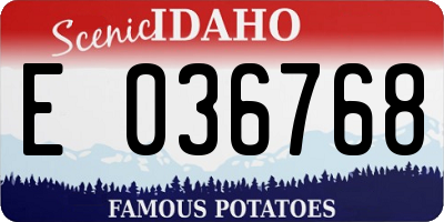 ID license plate E036768