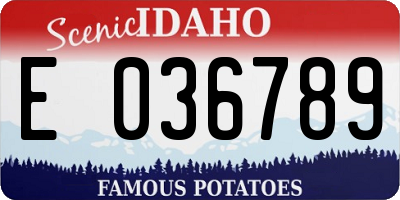 ID license plate E036789