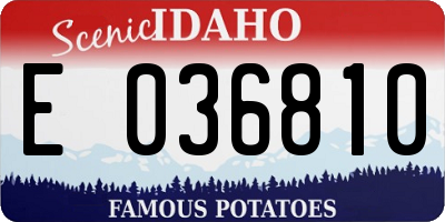 ID license plate E036810