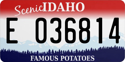 ID license plate E036814