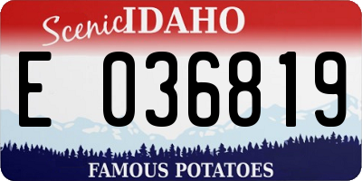 ID license plate E036819