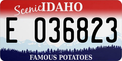 ID license plate E036823